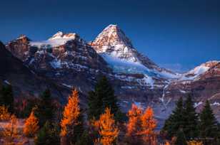 Mt. Assiniboine in alpine glow-1374